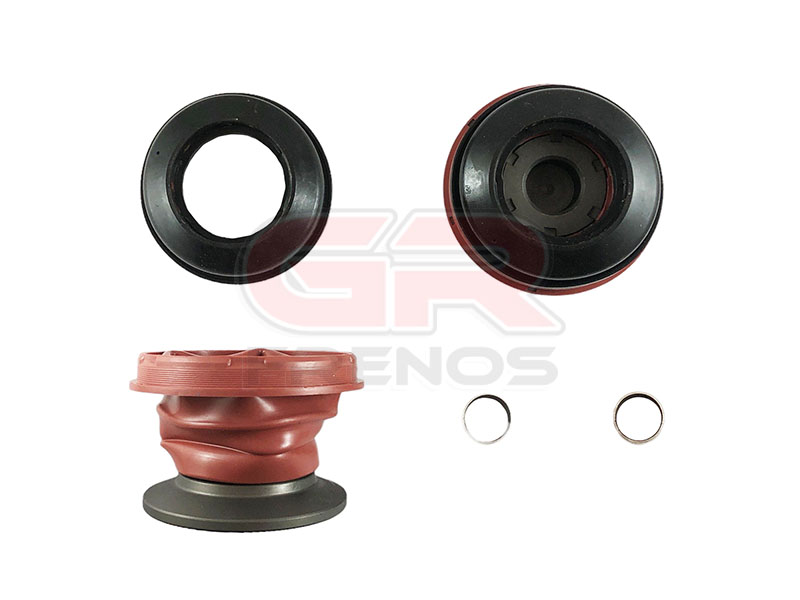 Kit Reparaci�n Mordaza de Transporte Pesado 10365 (32)