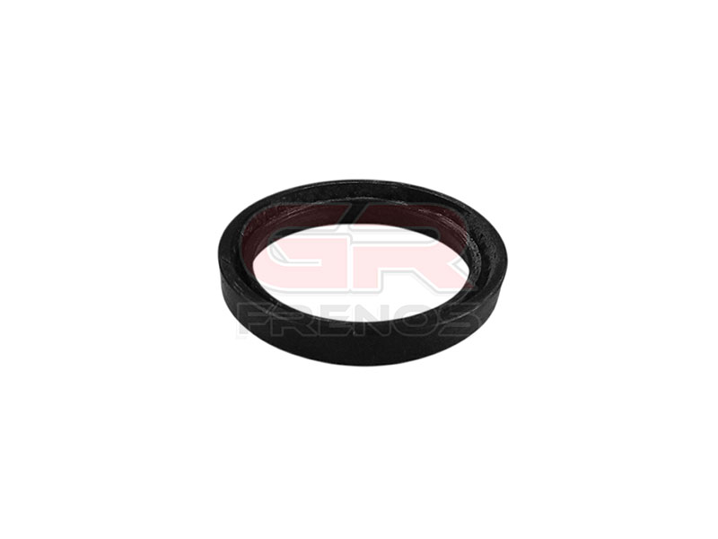 Goma Bomba Freno B2266 (45)
