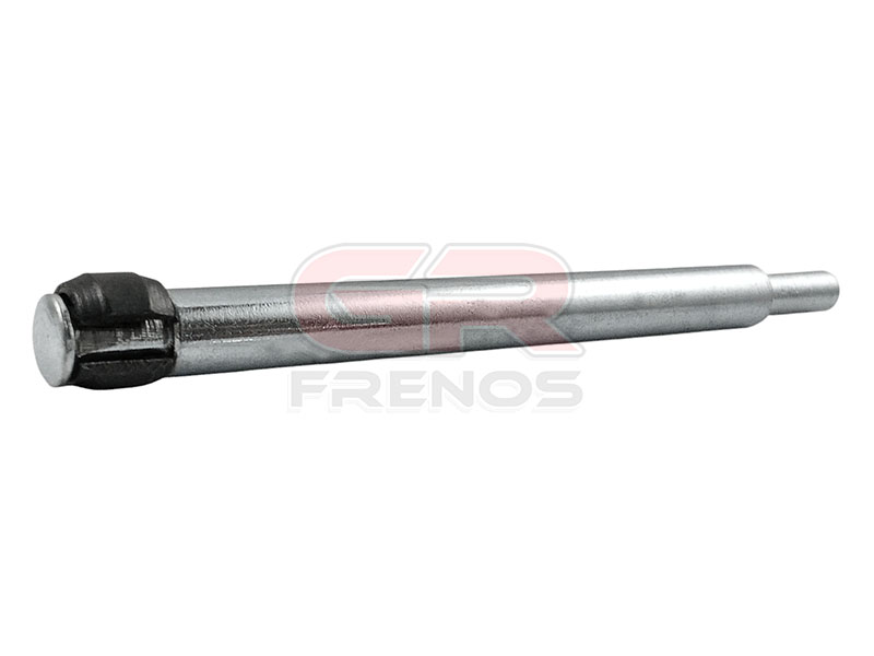 Perno de Pastilla de Freno FP0002 (79)