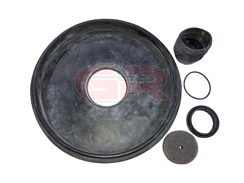 Kit Reparaci�n de Servo de Freno RS1104 (10)