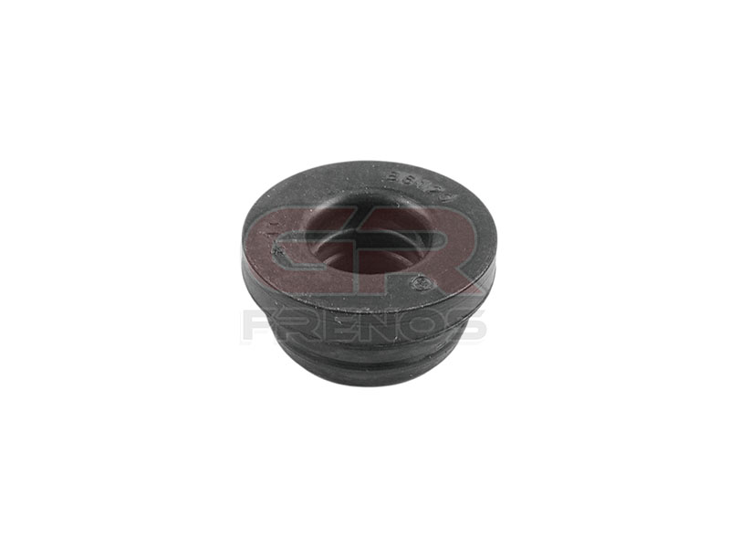 Goma Dep�sito Bomba B6120 (45)