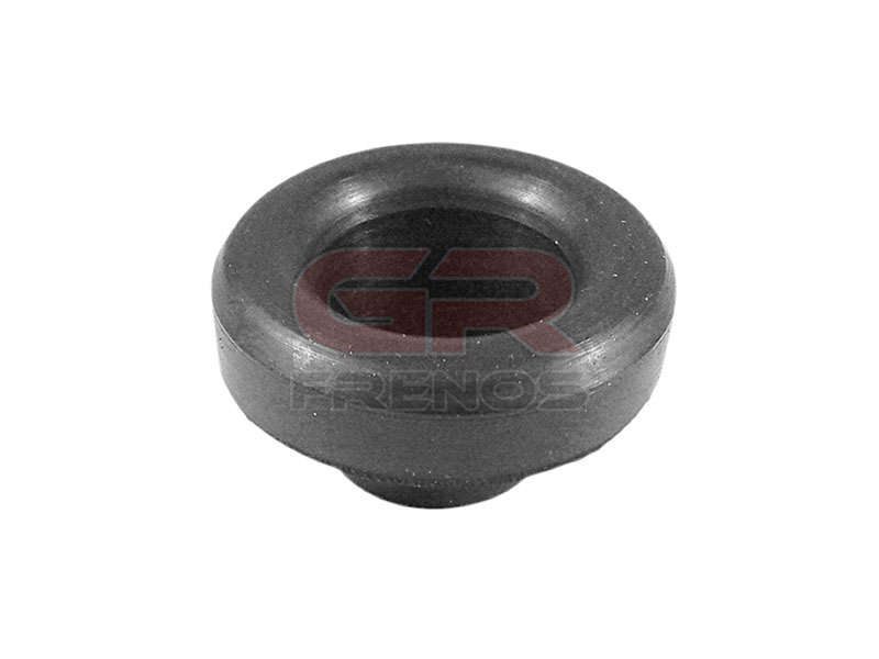 Goma Guardapolvo Cilindro de Embrague B8499 (35)