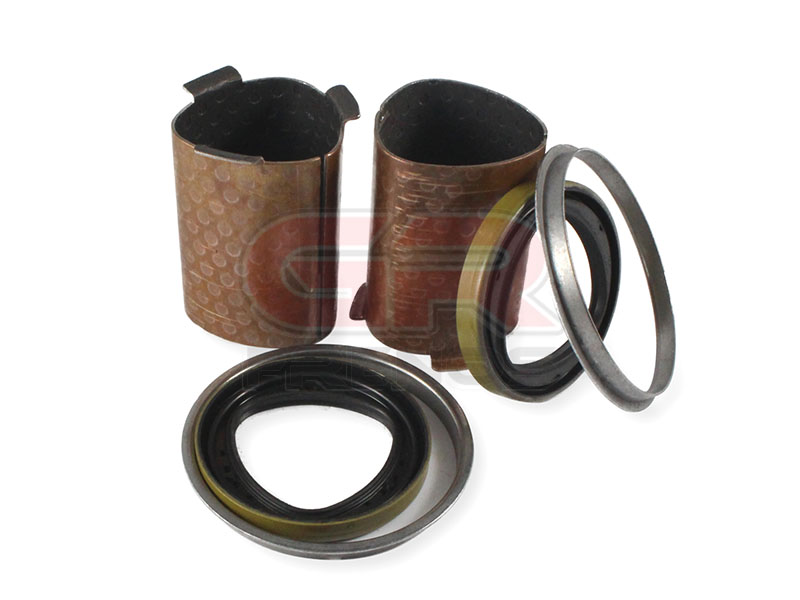 Kit Reparaci�n Mordaza de Transporte Pesado 20150 (32)