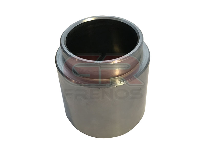 Pist�n de Mordaza PM485000 (25)