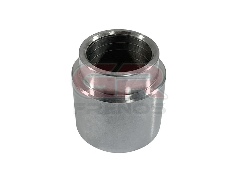 Pist�n de Mordaza PM485000 (10)