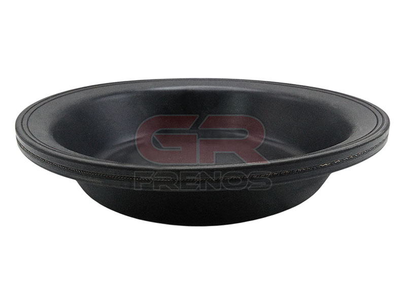 Diafragma Spring Galleta Freno Aire TD0004 (25)