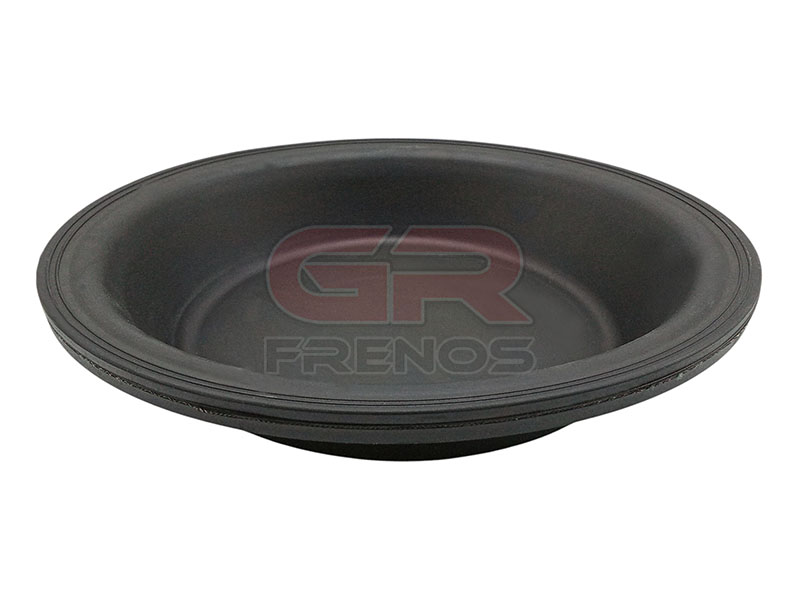 Diafragma Spring Galleta Freno Aire TD0008 (25)