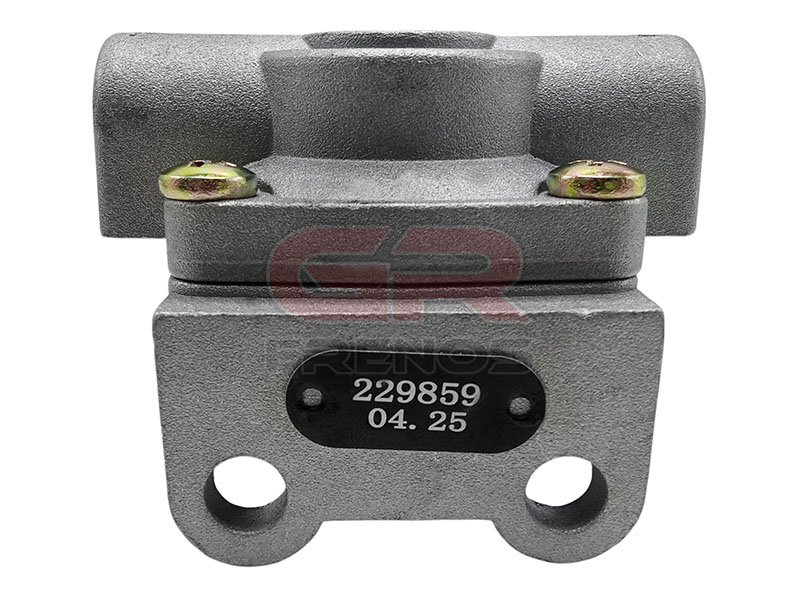 V�lvula De Descarga R�pida QR-1 NPT 3/8 TV0010 (25)