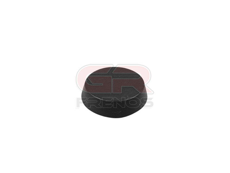Goma Primaria Bomba Embrague B1025 (45)